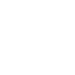 icons poehlmann 01